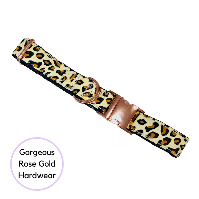 Animal Print Collar