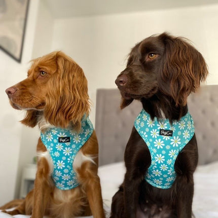 Crazy Daisy Fully Adjustable Harness