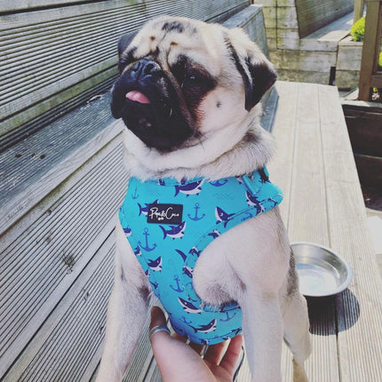 Shark Attack Fully Adjustable Harness