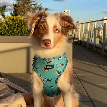 Shark Attack Fully Adjustable Harness