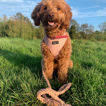 Peachy Blooms Fully Adjustable Harness