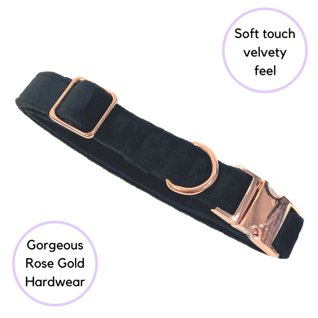 Velour Collar - Ebony