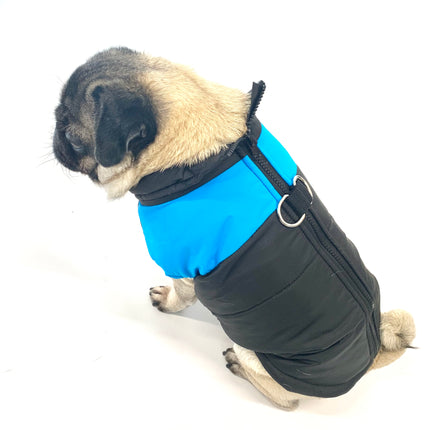 Waterproof Winter Coat Blue