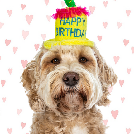 Cockapoo Candle Hat Card