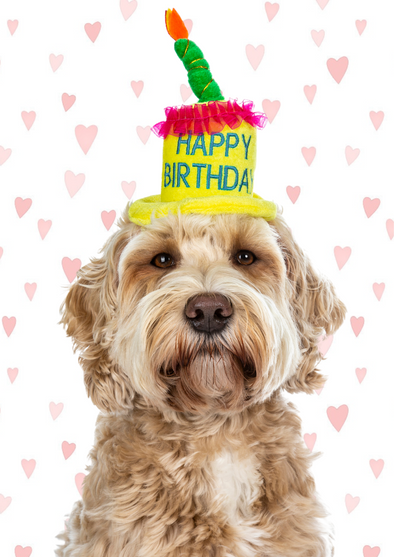 Cockapoo Candle Hat Card