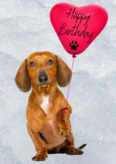 Sausage Dog Birthday Balloon Card