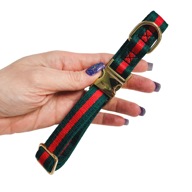 Racing Green Striped Collar