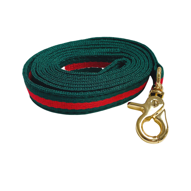 Racing Green Striped Lead