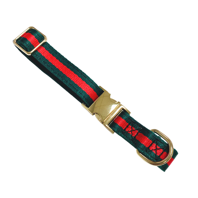 Racing Green Striped Collar