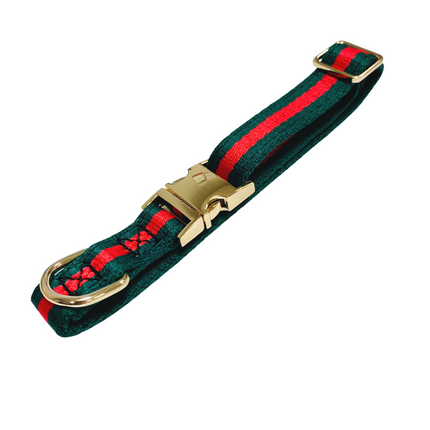 Racing Green Striped Collar