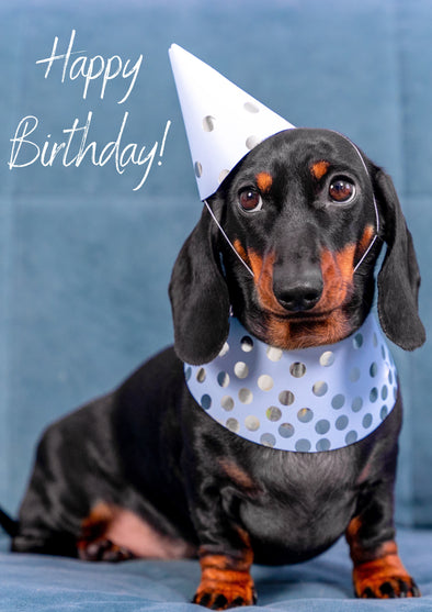 Happy Birthday Party Dachshund Card