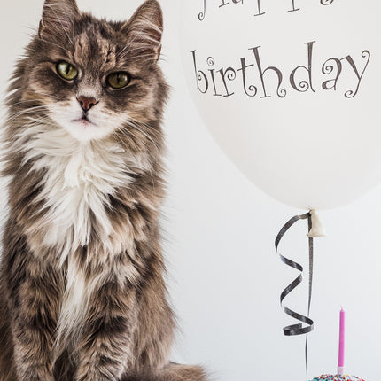 Happy Birthday Balloon Cat Card
