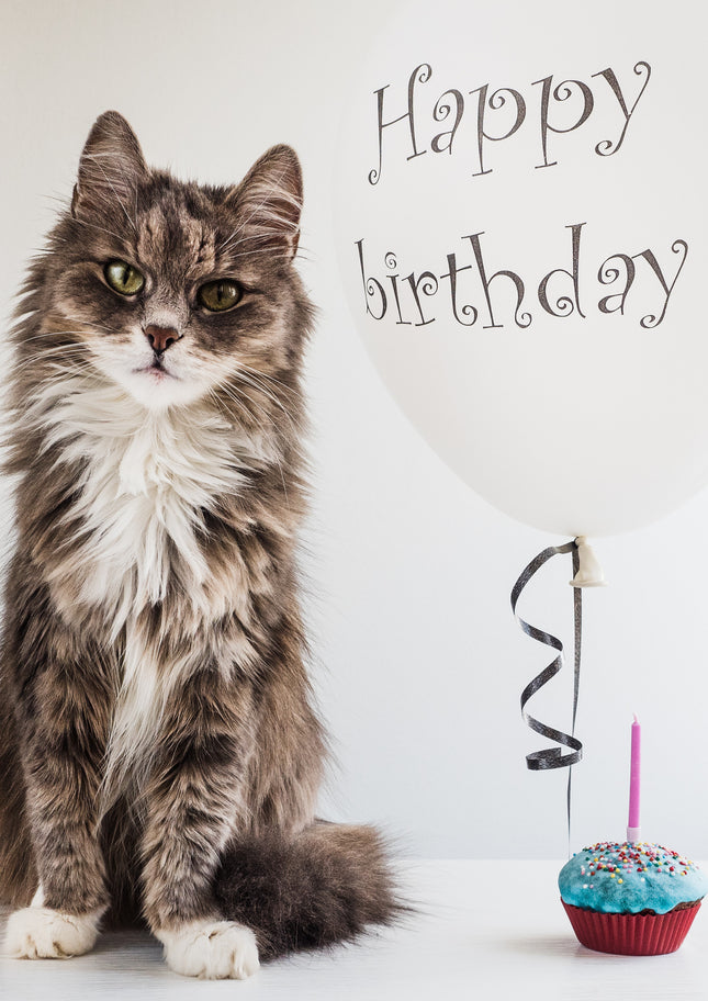 Happy Birthday Balloon Cat Card