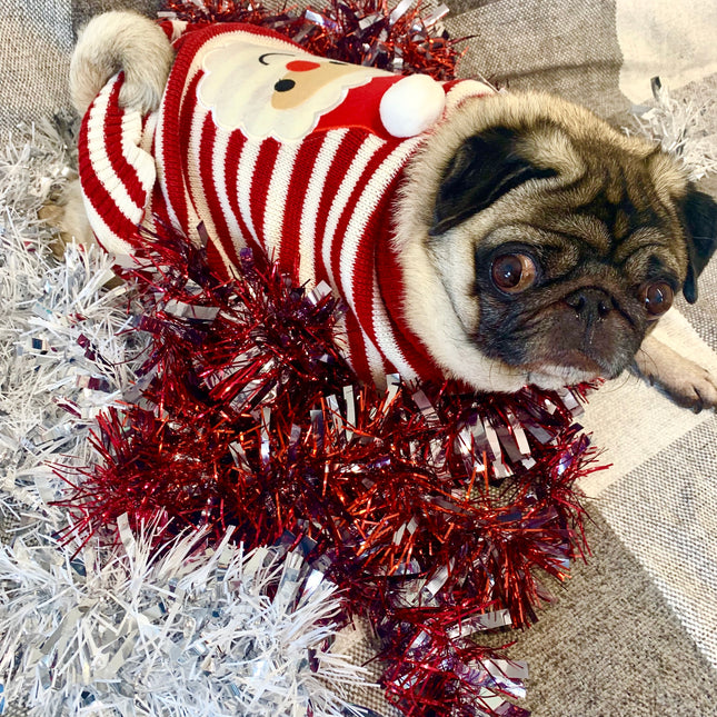Santa Red and White Jumper