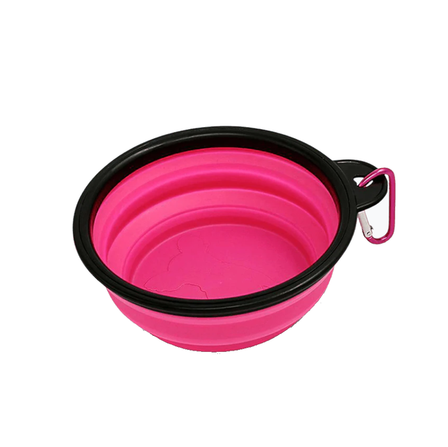 Collapsible Water Bowl