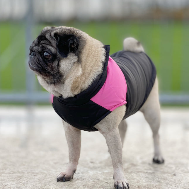 Waterproof Winter Coat Pink