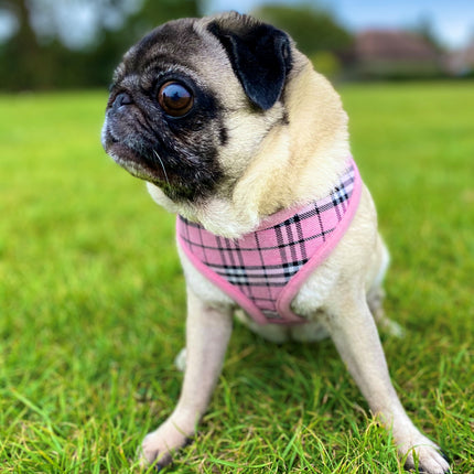Tartan Adjustable Canvas Harness - Baby Pink