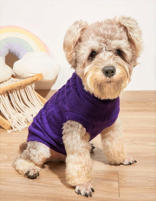 Knitted Jumper in Purple
