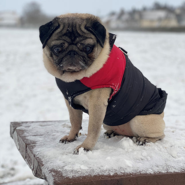 Waterproof Winter Coat Red