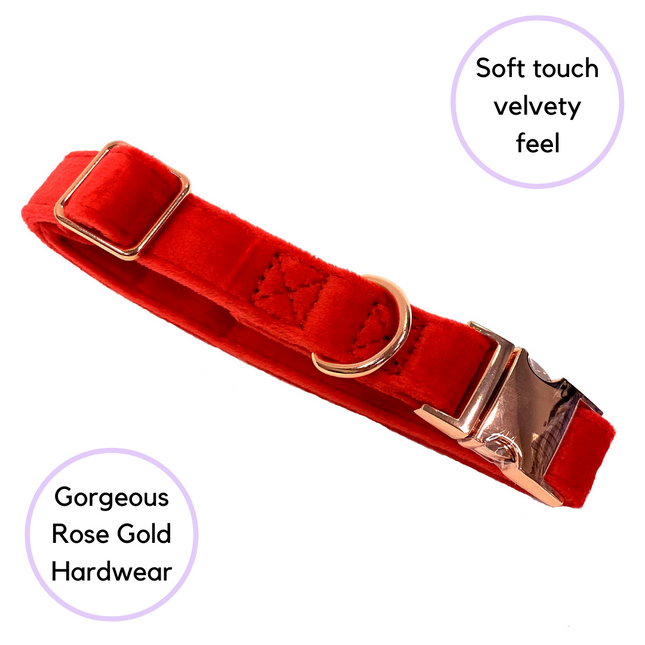 Velour Collar - Ruby Red