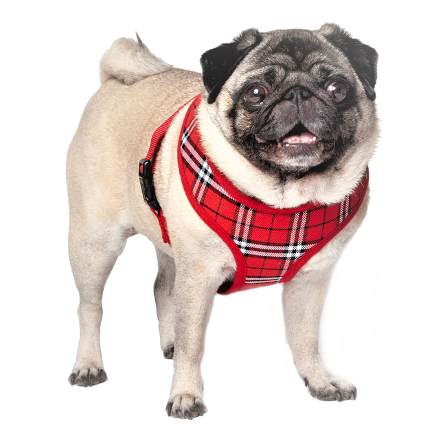 Tartan Adjustable Canvas Harness - Red