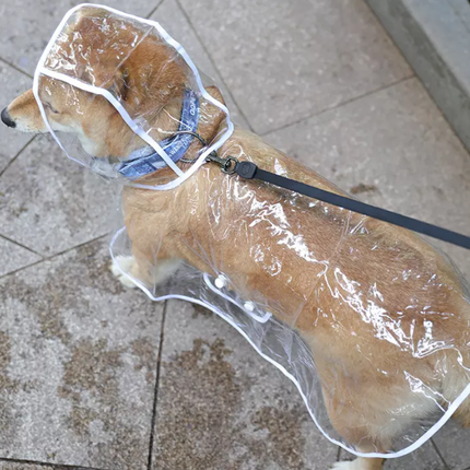 Pet Raincoat in Blue Red White or Yellow